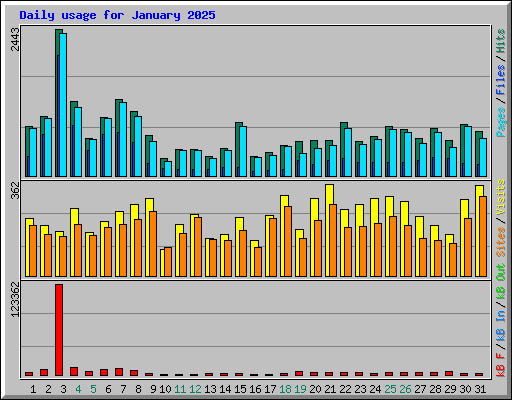 Daily usage for January 2025