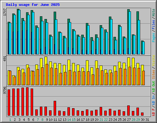 Daily usage for June 2025
