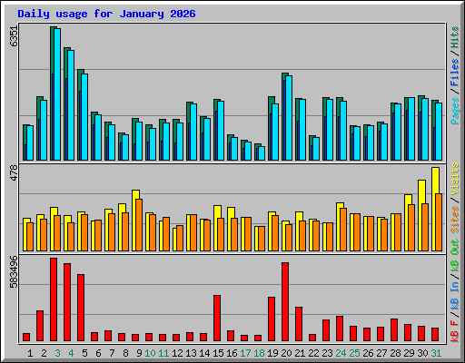 Daily usage for January 2026