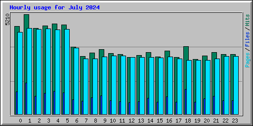 Hourly usage for July 2024