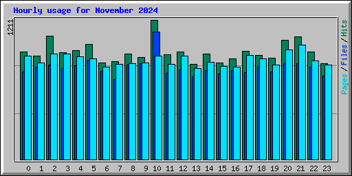 Hourly usage for November 2024