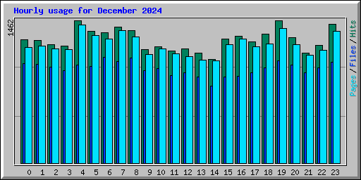 Hourly usage for December 2024