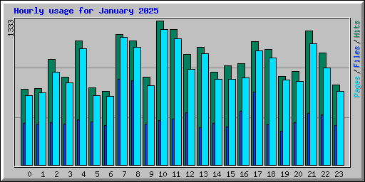 Hourly usage for January 2025