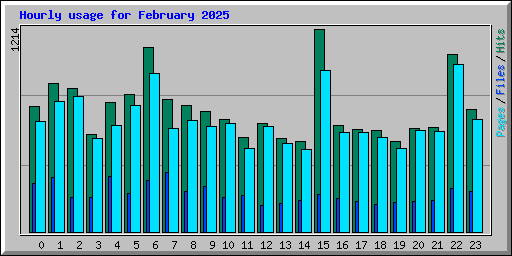 Hourly usage for February 2025