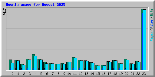 Hourly usage for August 2025