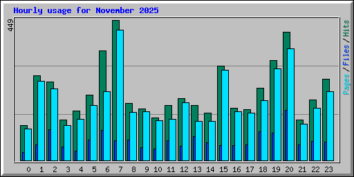 Hourly usage for November 2025