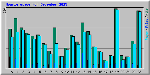 Hourly usage for December 2025