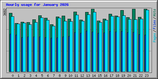 Hourly usage for January 2026