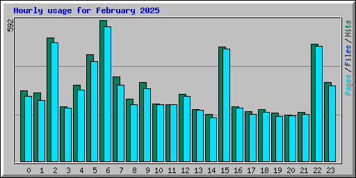 Hourly usage for February 2025