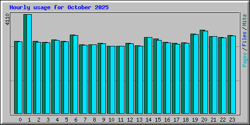 Hourly usage for October 2025
