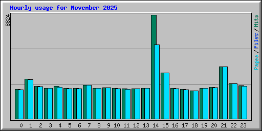 Hourly usage for November 2025