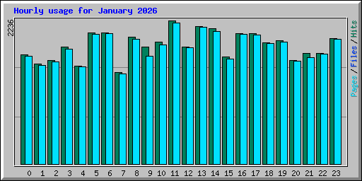 Hourly usage for January 2026