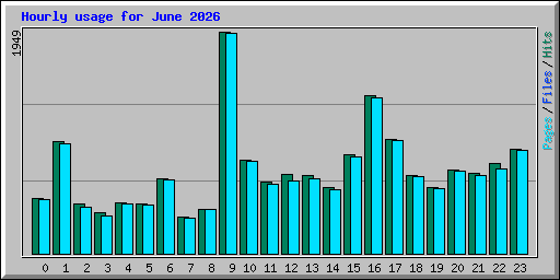 Hourly usage for June 2026