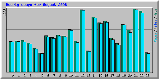 Hourly usage for August 2026